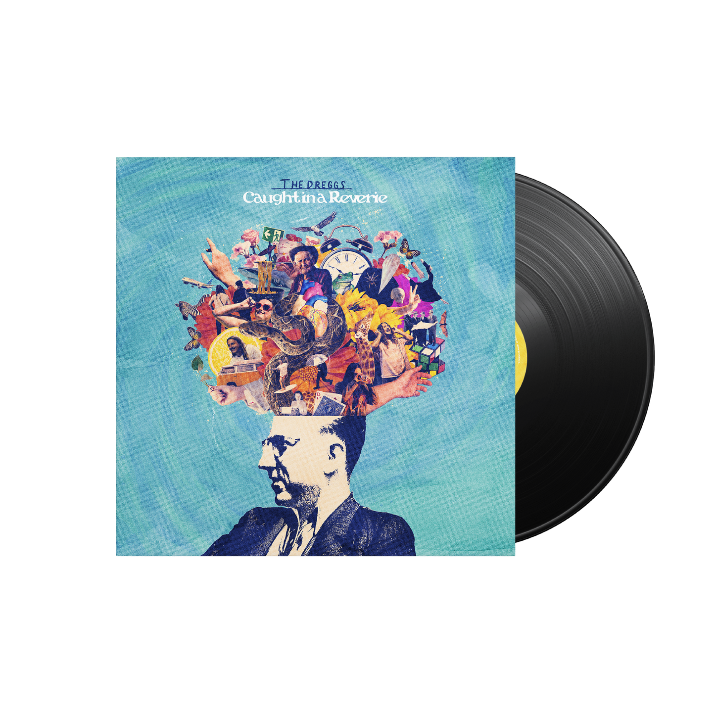 Caught in a Reverie Vinyl Album