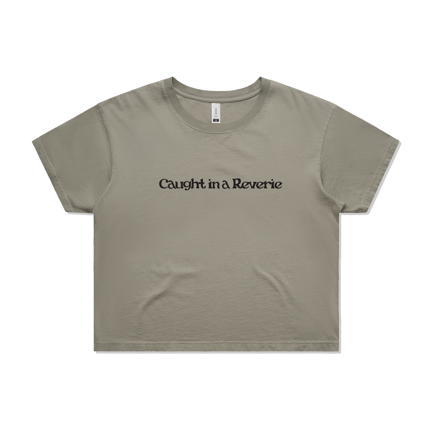 Women's Grey Crop Top